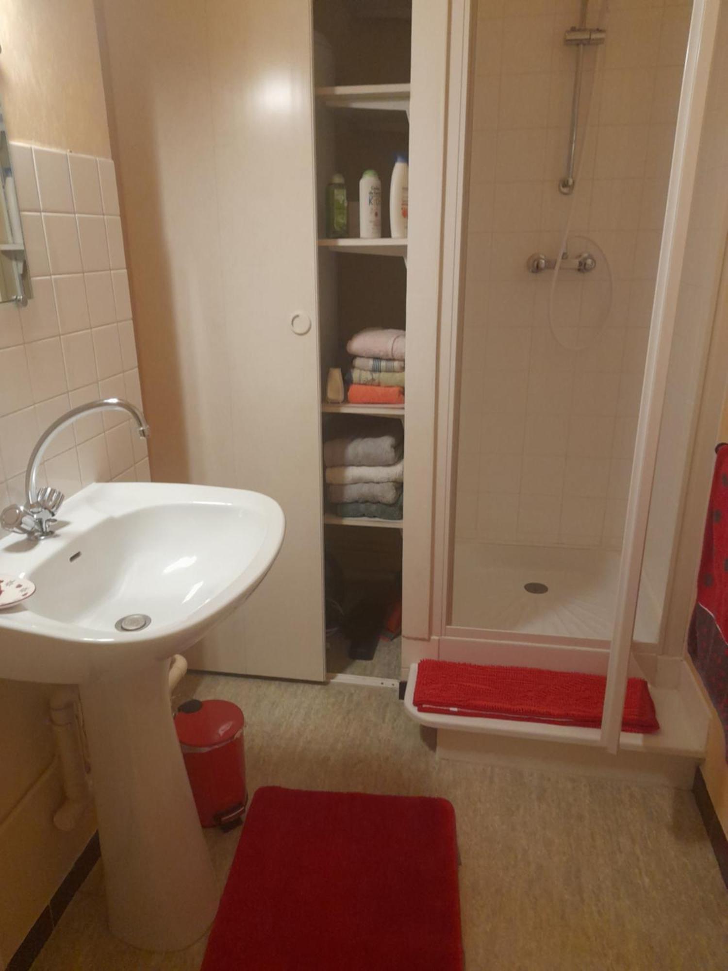 Appartement Du Pont De La Seine Troyes Dış mekan fotoğraf